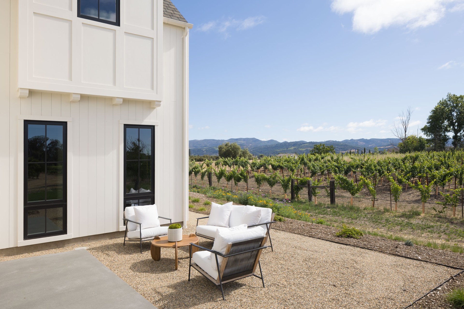 Vineyard rows with lounge seating overlooking the landscape