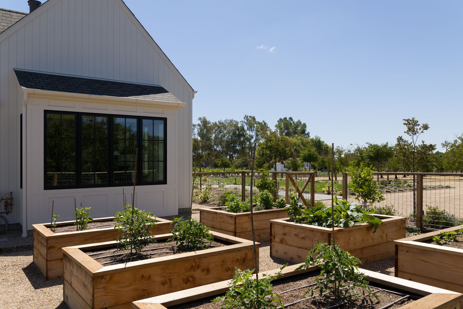 Raised garden beds with seasonal produce